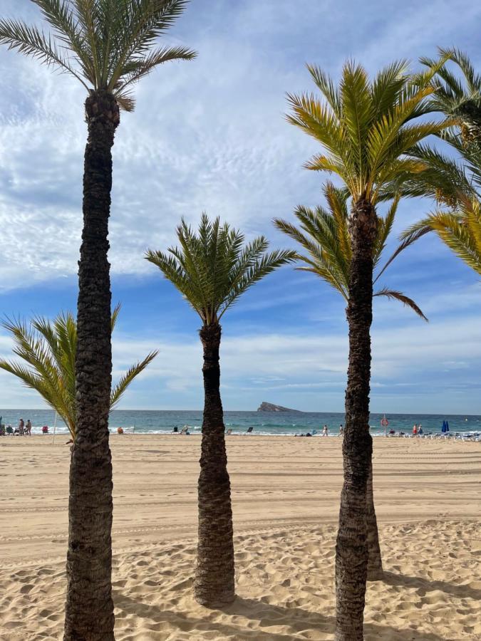 Marinapartsol 6C Lägenhet Benidorm Exteriör bild